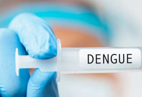 A nova vacina contra a dengue
