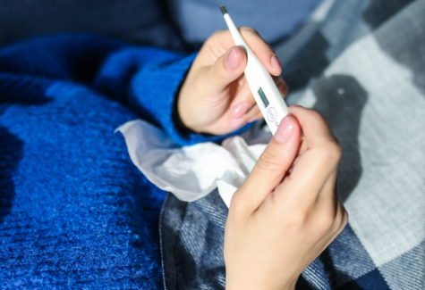 Como prevenir a febre maculosa 